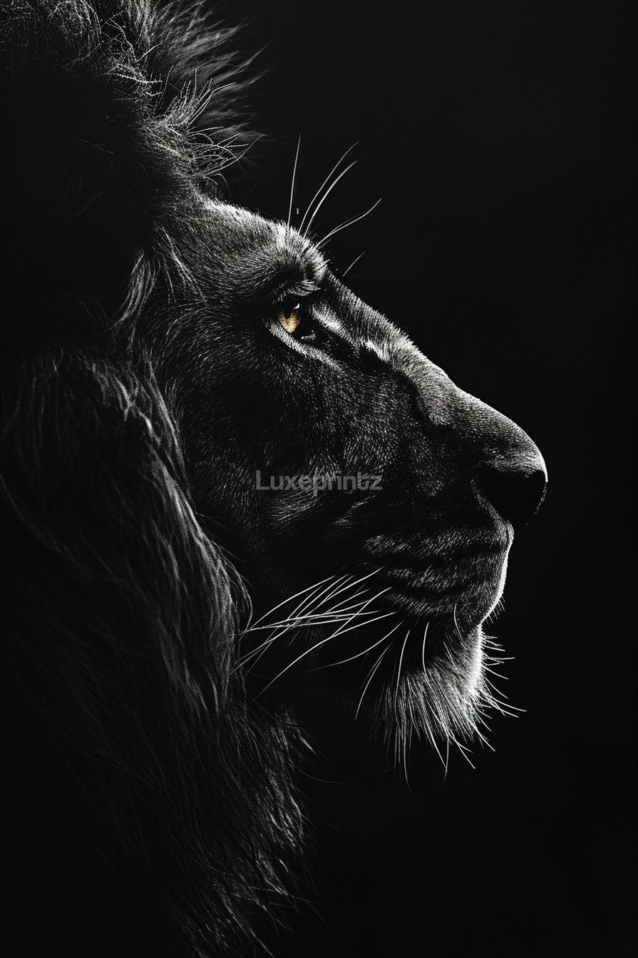 black lion-[Aluminium]-[Canvas]-[Poster]-[plexiglas]-luxeprintz