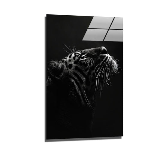 midnight tiger-[Aluminium]-[Canvas]-[Poster]-[plexiglas]-luxeprintz