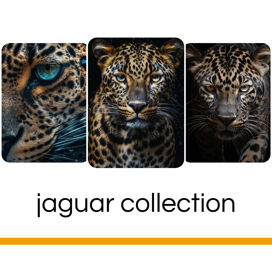 Jaguar collection