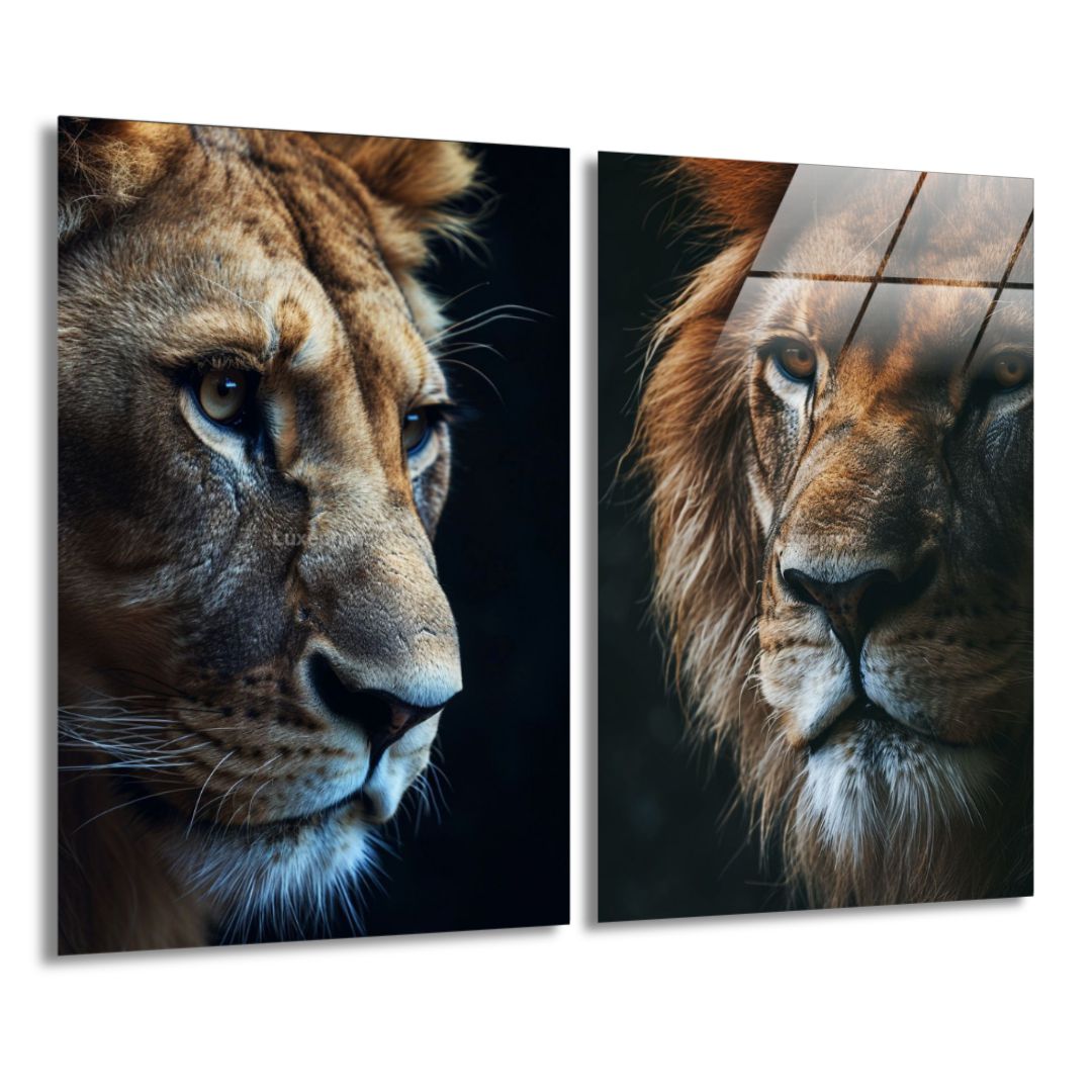 King lion & Queen Lioness / Bundel-[Aluminium]-[Canvas]-[Poster]-[plexiglas]-luxeprintz